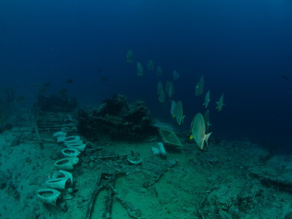 ⁦Diving⁩ - الصورة ⁦3⁩