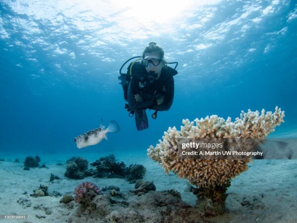 Tiran Island